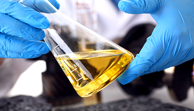 Como Avaliar e Homologar Novos Fornecedores de Matéria-Prima