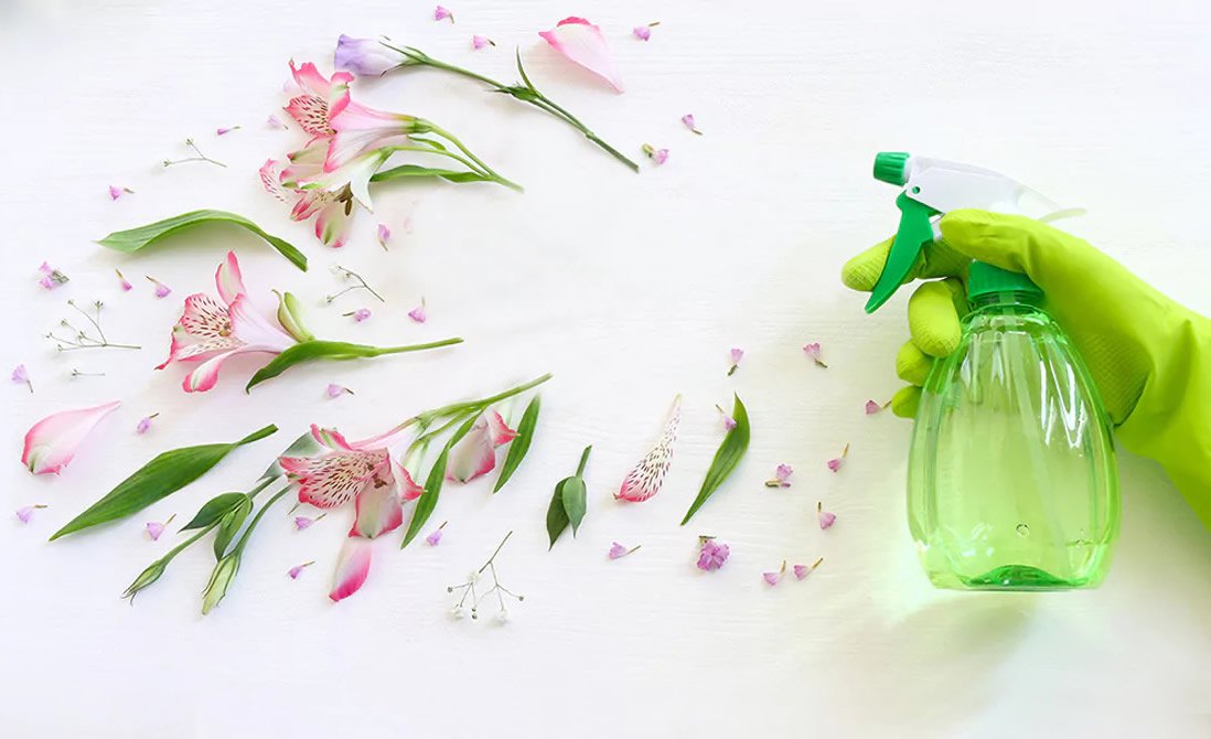 O Futuro é Hoje Biotecnologia e Inovação em Ingredientes Naturais