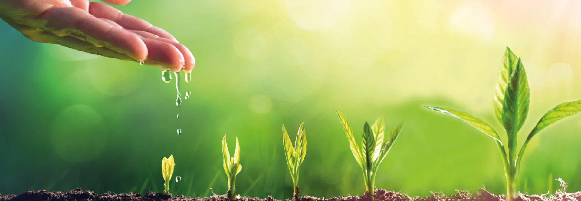 Tendências em matérias-primas sustentáveis