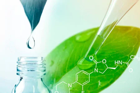 Bioquímica da Degradação Lipídica e Controle Oxidativo